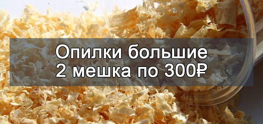 акции