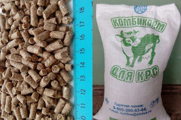 рацион крс